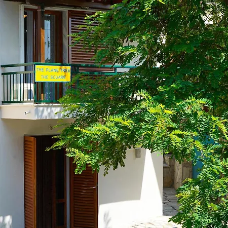 Plane Tree Maries (Thasos)