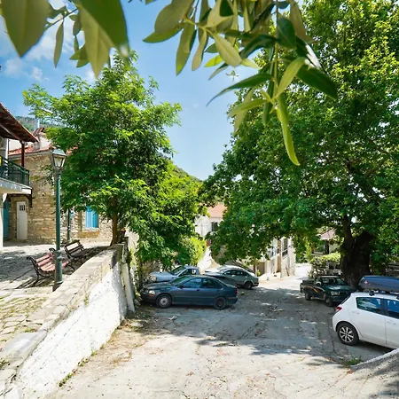 Appartamento Plane Tree