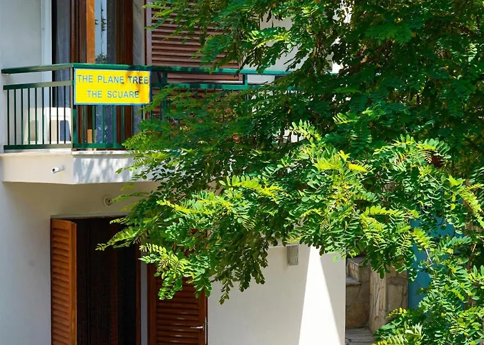 Plane Tree Μαριές