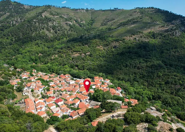 Plane Tree Διαμέρισμα *